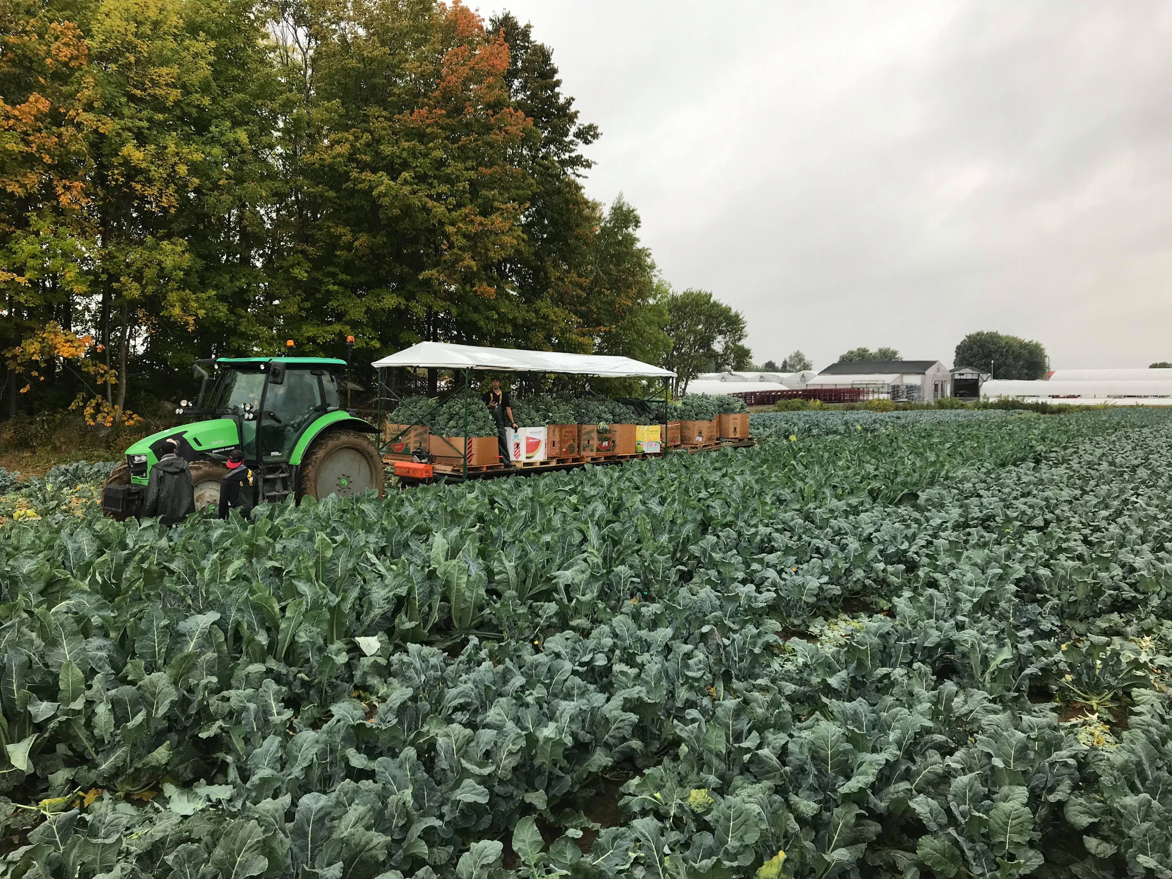 Ferme Bastien Inc.