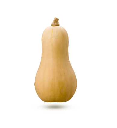 Courge Butternut (musquée)