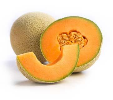 Melon Cantaloupe