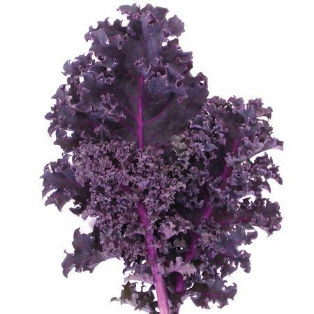 Chou Kale rouge