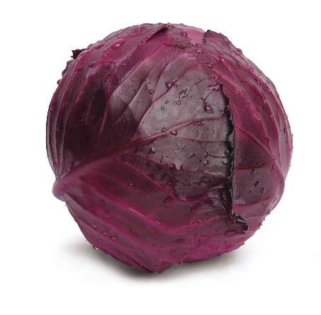 Chou rouge