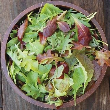 Laitue Mesclun (mix)