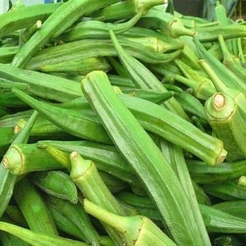 Okra (gombo)