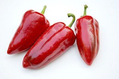 Piment doux corno di toro