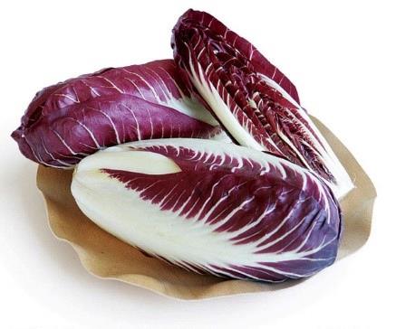 Radicchio