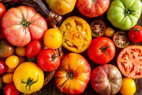 Tomates variés Surpise!