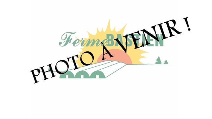 Begonia tubereux Nonstop® Yellow Red back