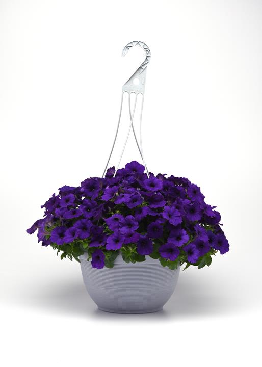 Petunia E3 Easy Wave® Blue