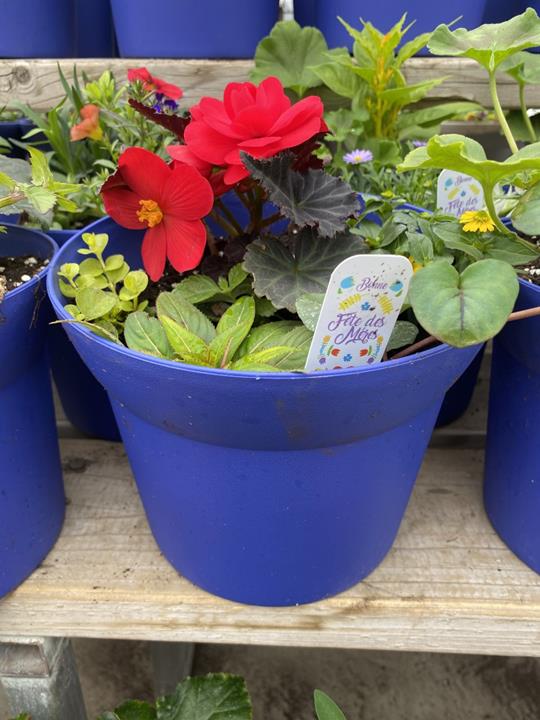 Pot mix Fête des Mères