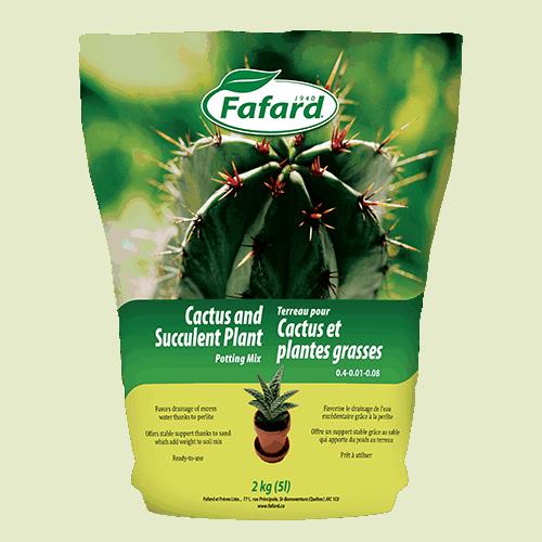 Terreau pour cactus et plantes grasses