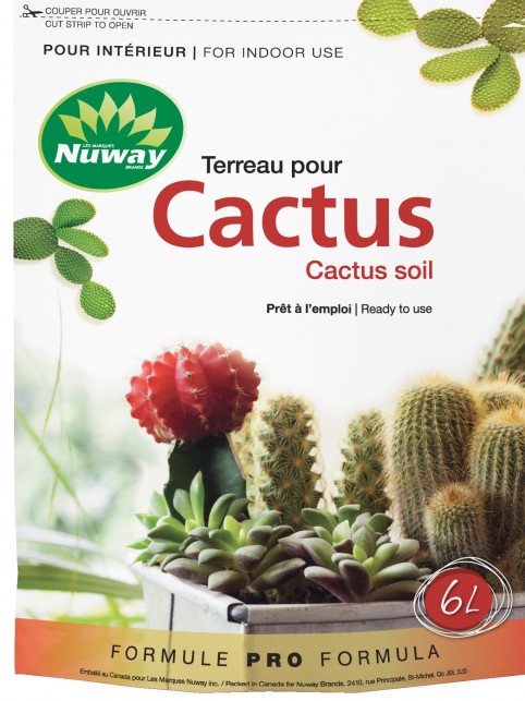 Terreau pour cactus
