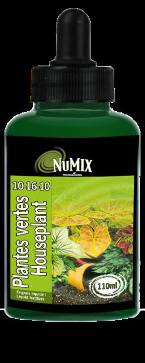 Engrais liquide pour plantes vertes 10-16-10