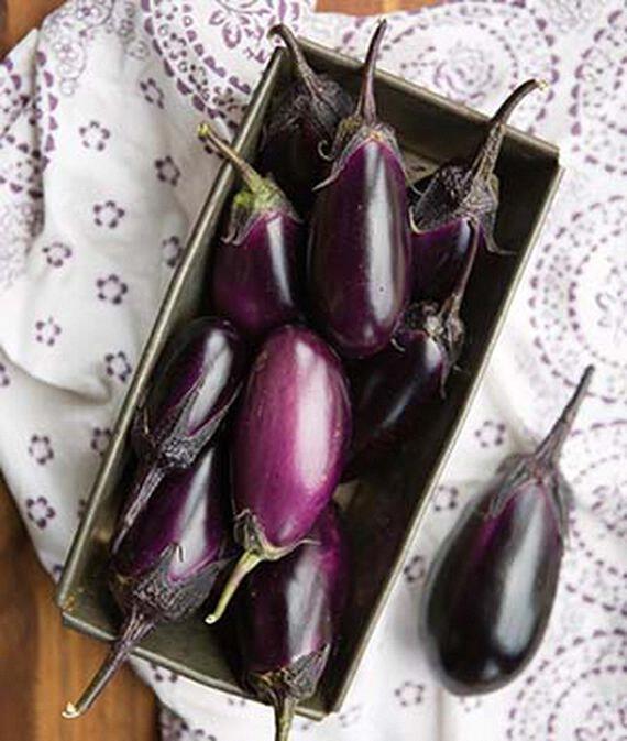 Aubergine Baby Patio