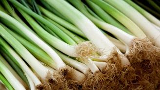 Oignon vert (échalotes)