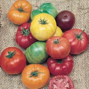 Tomate Ancestrale 'Heirloom'