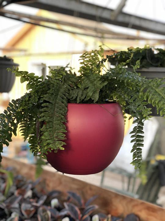 Pot à suspendre Lune