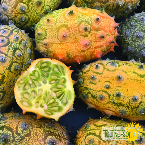 Melon Kiwano