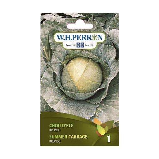 Chou d'Été Bronco NT