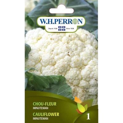 Chou-fleur Minuteman NT