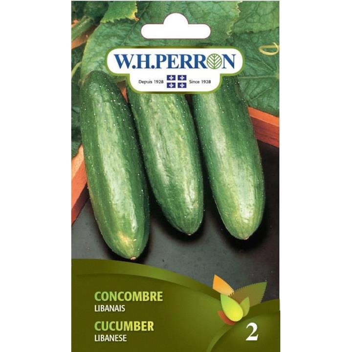 Concombre Libanais NT
