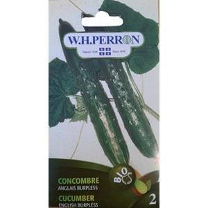 Concombre Anglais Burpless Bio