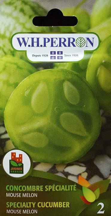 Cucamelon Concombre spécialité Mouse Melon NT