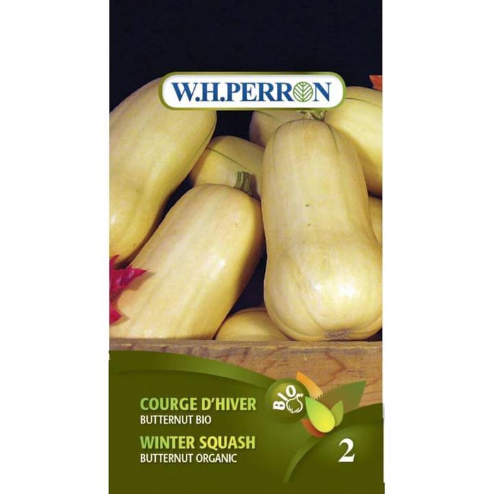 Courge d'Hiver Butternut Bio