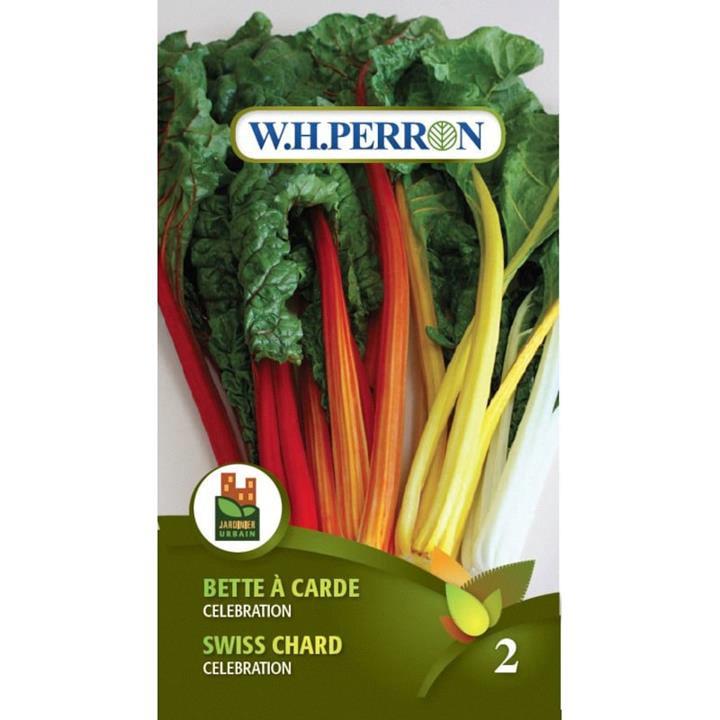 Bette à carde Célébration NT