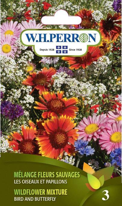 Mélange Fleurs Sauvages : Les oiseaux et Papillons NT