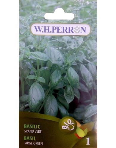 Basilic Grand Vert Bio