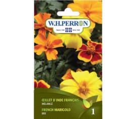 Oeillet d'Inde Français mélange NT