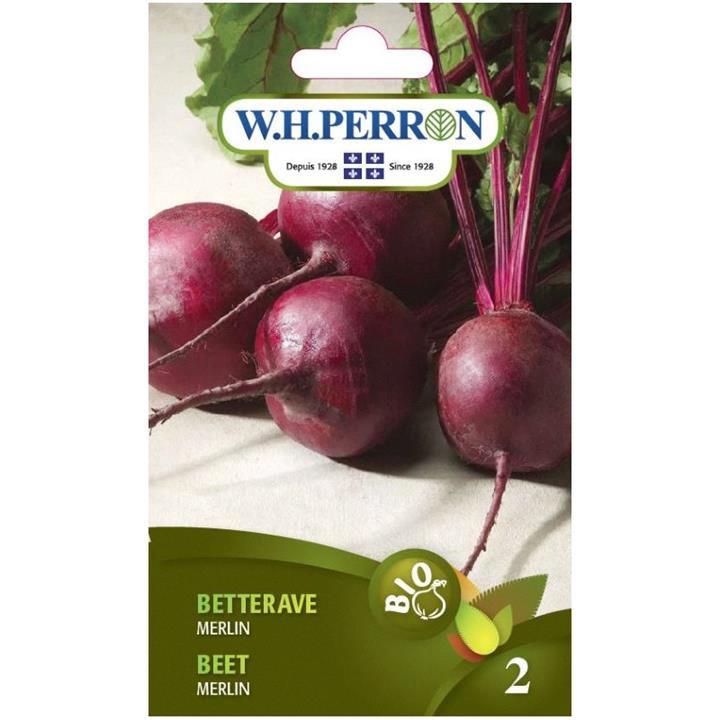 Betterave Merlin Bio