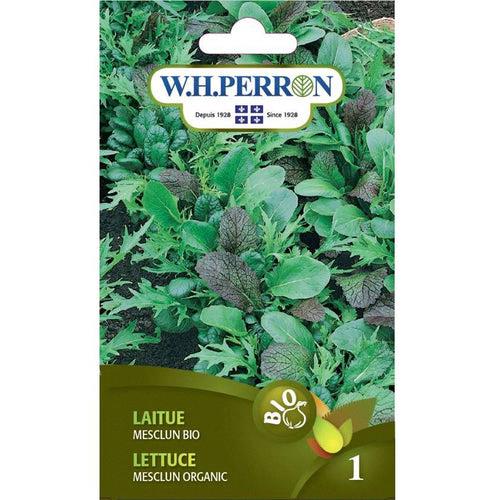Laitue Mesclun 