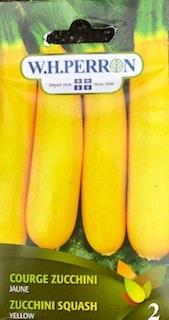 Zucchini jaune NT
