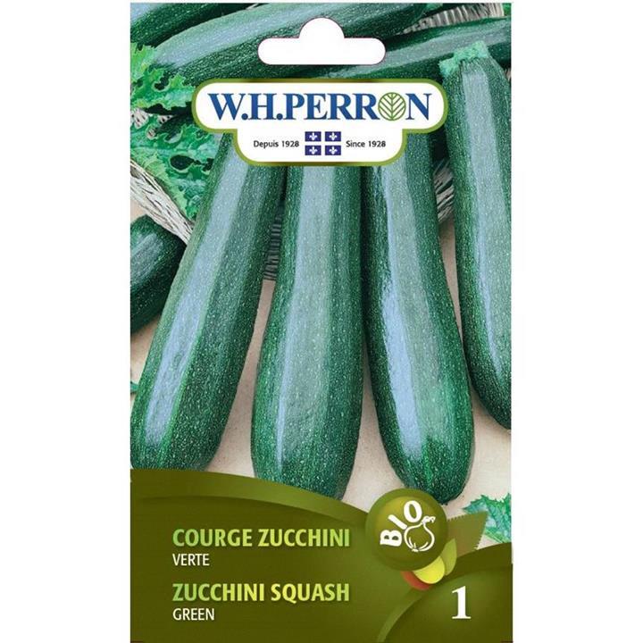 Zucchini verte *BIO*