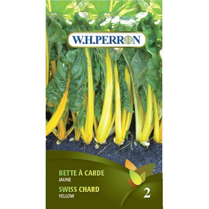 Bette à carde Jaune Traitée