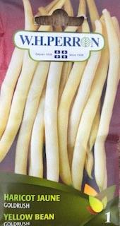 Haricot Jaune Goldrush Traitée