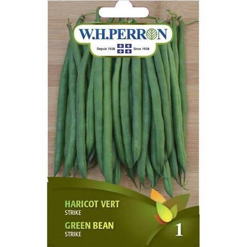 Haricot Vert Sybaris Traitée