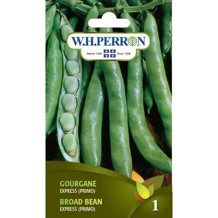 Gourgane Express Primo NT