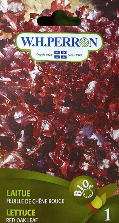 Laitue feuille de chêne rouge *Bio*