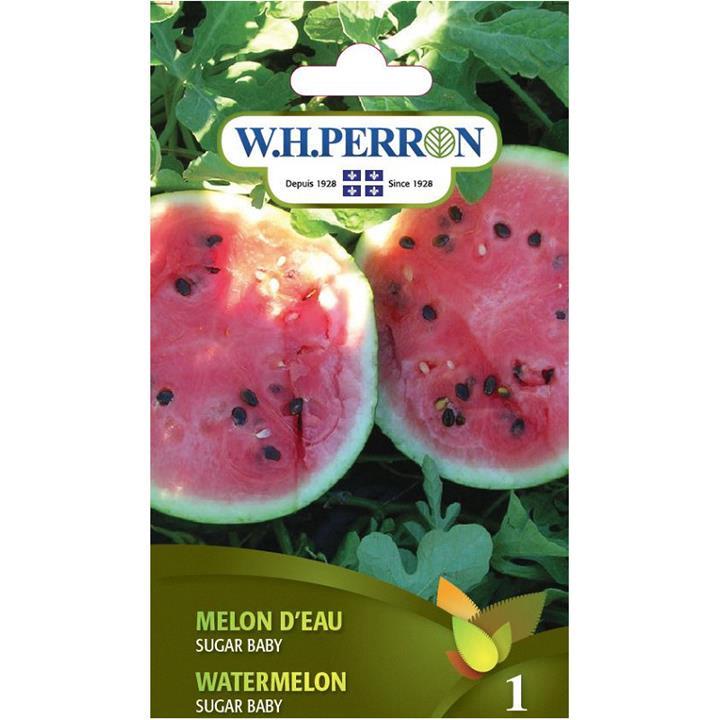 Melon D'eau Sugar Baby NT
