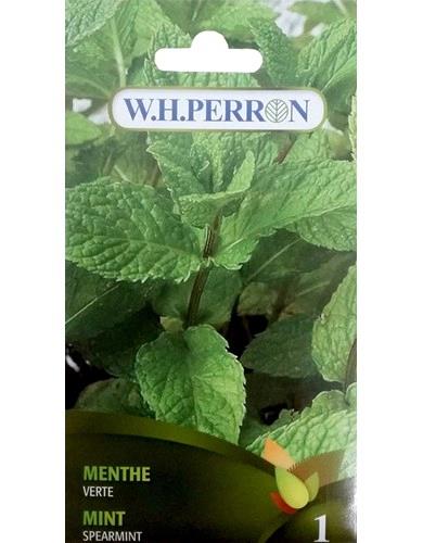 Menthe Verte NT