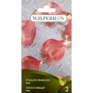 Échalote française rose traitée