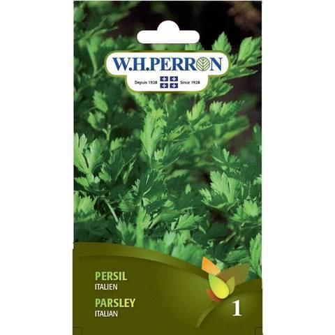 Persil italien NT