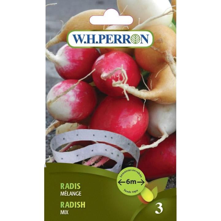 Radis mélange NT