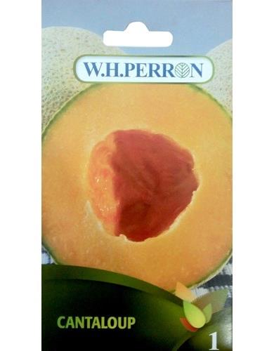 Cantaloup Traitée