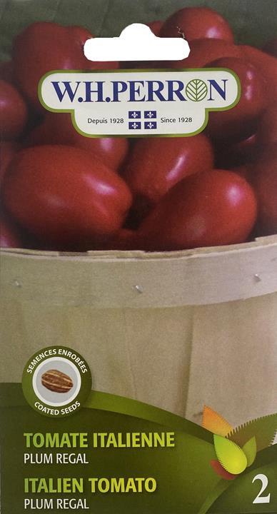 Tomate italienne Plum Regal traitée