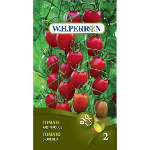 Tomate Raisin rouge *BIO*