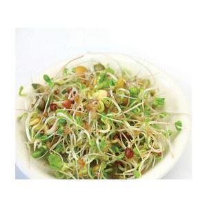 Germe mélange ÉNERGIE NT