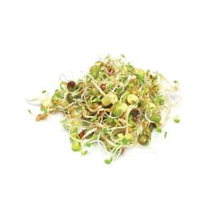 Germe mélange VITALITÉ NT